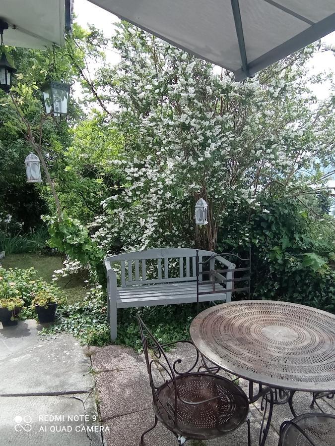 Villa Le Lac Cottage Au Bord Du Lac D'Annecy - Chambre Chez L'Habitant - Les Terrasses Du Lac Veyrier-du-Lac Eksteriør bilde