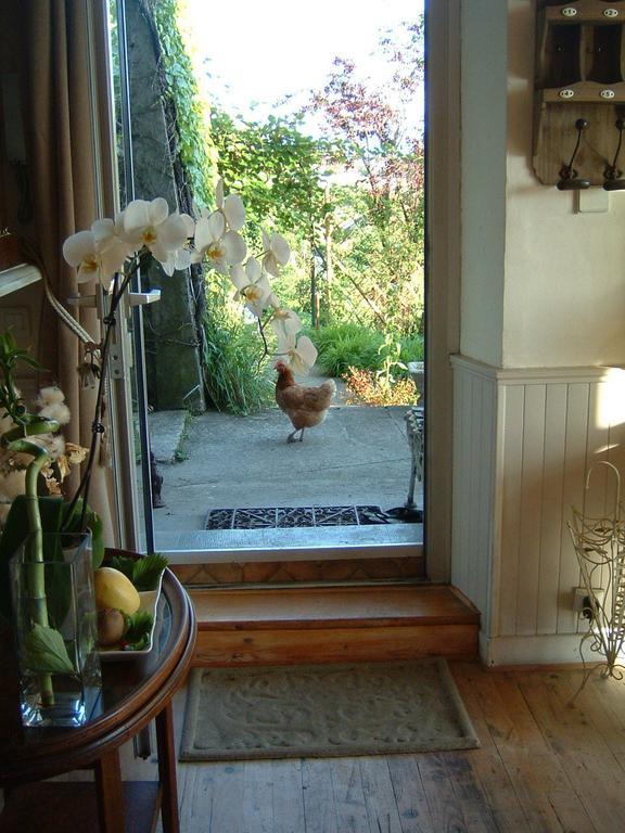 Villa Le Lac Cottage Au Bord Du Lac D'Annecy - Chambre Chez L'Habitant - Les Terrasses Du Lac Veyrier-du-Lac Eksteriør bilde